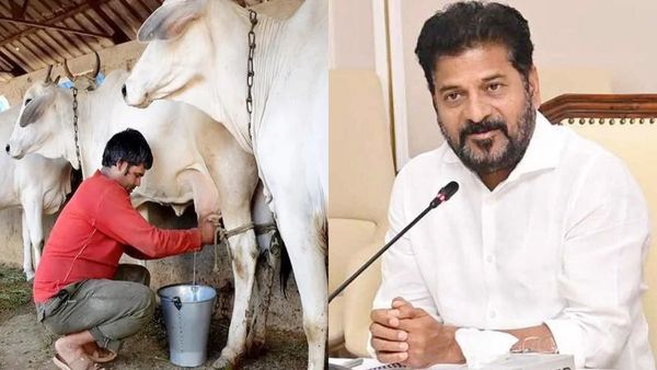 రేవంత్ సర్కార్ పండగ లాంటి వార్త.. వీరికి రెండు గేదెలు ఫ్రీ.. ఎంపిక ఎలాగంటే..?