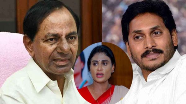 కేసీఆర్-జగన్ ప్లాన్-వైవీ సుబ్బారెడ్డి లీక్-వైఎస్ షర్మిల షాకింగ్ కామెంట్స్..!