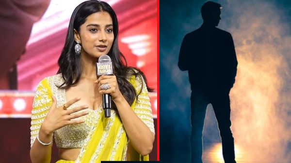 ఆ హీరోతో నటించి తప్పు చేశా - మీనాక్షి చౌదరి