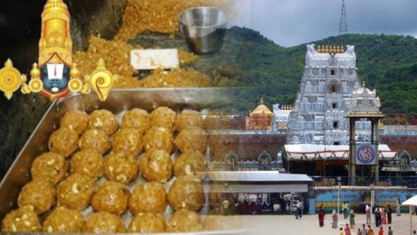 తిరుమలలో ఆ భక్తుడు తన నాలుకను తానే కొరుక్కున్నాడు: టీటీడీ 