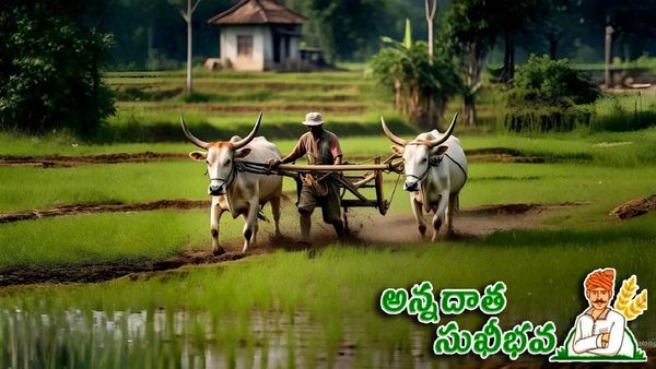  'అన్నదాత సుఖీభవ' నిధుల పై ప్రభుత్వం కీలక ప్రకటన - రైతులకు లాస్ట్ ఛాన్స్..!!