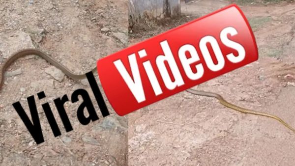 VIRAL VIDEO: ఈ కష్టం ఇంకెవరికి రాకూడదు.. కారణం అదే !