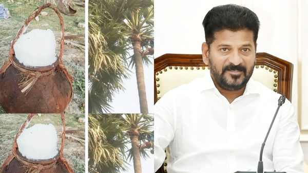 తెలంగాణలో కల్లు బ్యాన్..? రాష్ట్ర ప్రభుత్వం సంచలన నిర్ణయం..!