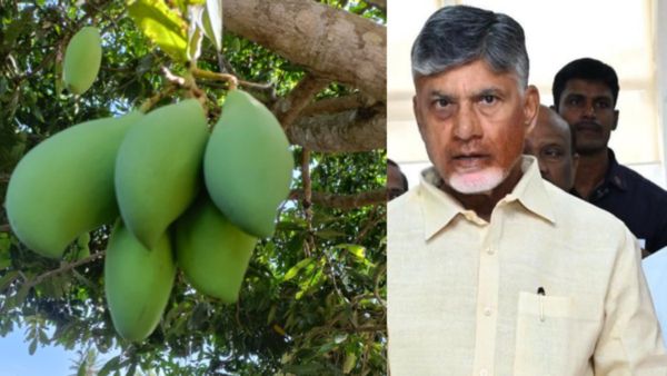 తోతాపురిపై కేంద్రం కీలక నిర్ణయం-జగన్, కూటమి పోరు వేళ రైతులకు ఊరట..!