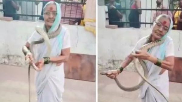 ముసలమ్మే కానీ మహానుభావురాలు.. పాముతో అలా... బామ్మ వీడియో వైరల్!