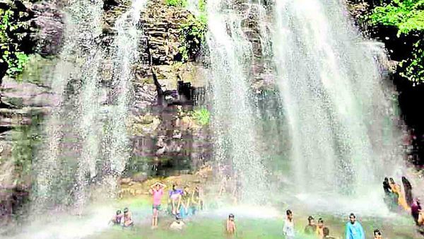 జలపాతం చూసేందుకు అడవిలోకి వెళ్లి చిక్కుకున్న వరంగల్ నిట్ విద్యార్థులు.. కట్ చేస్తే జరిగిందిదే 