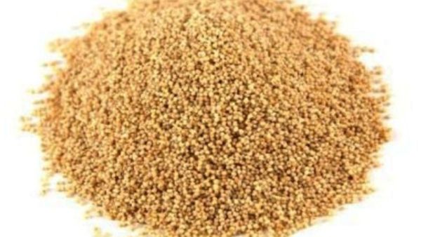 Poppy seeds: ఈ చిన్నగింజలు చేసే మాయతో ఒత్తిడి మాయం, సుఖ నిద్ర ఖాయం!