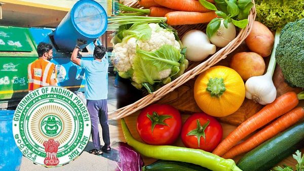 చెత్త ఇస్తే కూరగాయలు, పప్పులు.. ఏపీ సర్కార్ వినూత్న ఆలోచన!