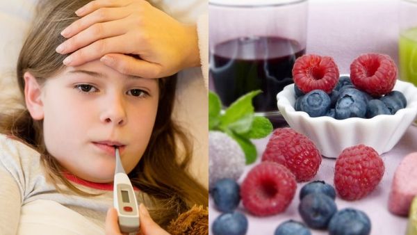 ఈ 8 ఫుడ్స్ తింటే డెంగీ జ్వరం రమ్మన్నా రాదు భయ్యా ..