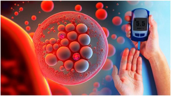 ఈ అలవాట్లతో షుగర్ ఫ్రీ లైఫ్, నిర్లక్ష్యం చేయద్దు..!!