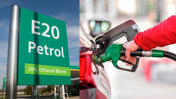 E20 పెట్రోల్‌పై భయాందోళనలు: సర్వేలో వెల్లడైన నిజాలు