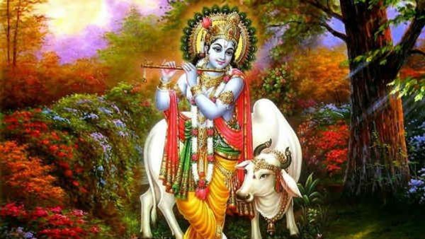 కృష్ణాష్టమిని ఎప్పుడు జరుపుకోవాలి: దోసకాయను కోయడ వెనుక ఆచారం ఏంటీ?