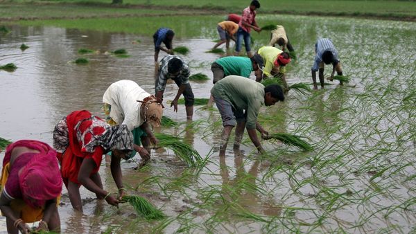 తెలంగాణలో 18 ఏళ్లు నిండిన రైతులకు అలర్ట్..!