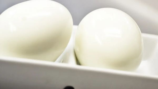 ప్రాణాన్ని బలి తీసుకున్న 