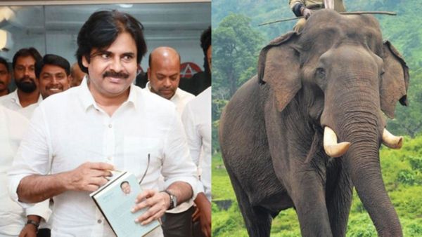 పవన్ కళ్యాణ్ గొప్ప విజనరీ...ఆ ఆపరేషన్ సక్సెస్.. ఇదే నిదర్శనం!