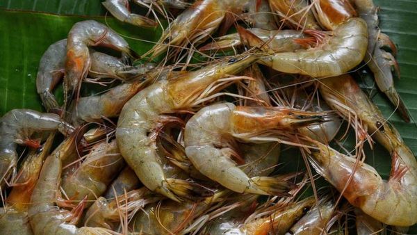 Prawns: పవర్ హౌస్ ఎనర్జీ కోసం వీటిని తప్పకుండా తినండి!