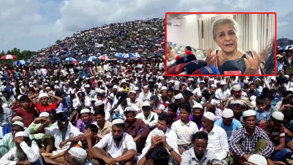 'ఈ భూమి అల్లాదే': సైదా హమీద్ మాటలపై పెనుదుమారం