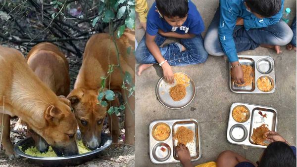 కుక్కలు తిన్న మధ్యాహ్న భోజనాన్ని స్టూడెంట్స్ కు పెట్టారు: ఇదేం ఘోరం రా అయ్యా