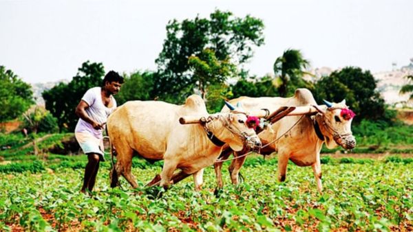 ఒక్కో రైతుకు రూ.1.52 లక్షల అప్పు!.. తెలంగాణపై కేంద్రం షాకింగ్ రిపోర్ట్