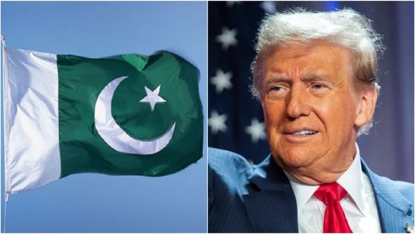 పాకిస్తాన్ కు ముల్లు గుచ్చుకుంటే ట్రంప్ కంట్లో నీళ్లొస్తోన్నాయిగా: అడిగిందే తడవుగా