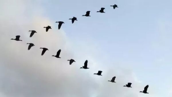 బెర్ముడా ట్రయాంగిల్ ను మించిన మిస్టరీ: అటుగా వెళ్లాలంటే పక్షులు కూడా దడుసుకుని ఛస్తాయ్..!!