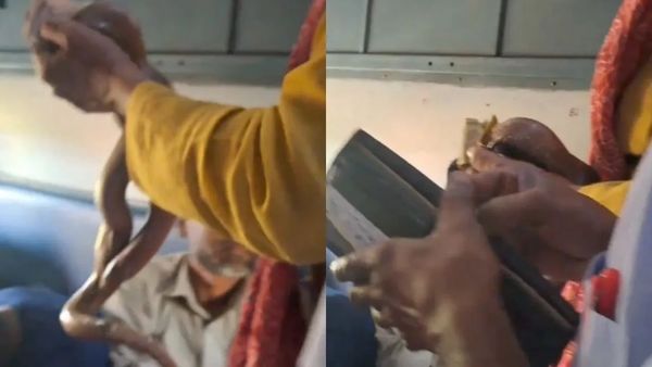 వైరల్ వీడియో: ఇదెక్కడి బెగ్గింగ్ రా మావా.. పామును చూపించి మరీ..