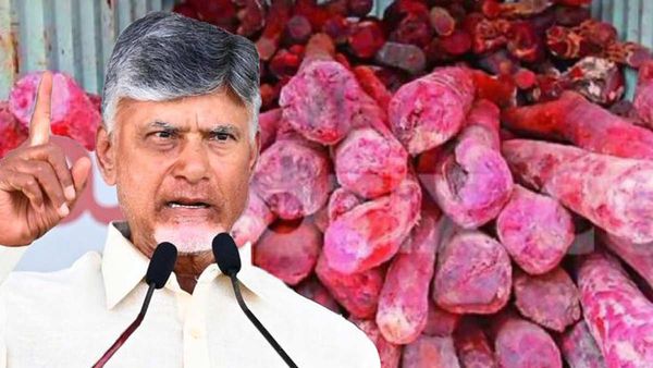 ఎర్రచందనంపై ఎన్నో ఆశలు పెట్టుకున్నాం, అయితే మీరు..!!