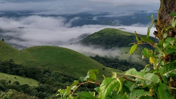 కూర్గ్.. మిస్ కావొద్దు బాస్: దసరా సెలవుల్లో బెస్ట్ ఫ్యామిలీ ట్రిప్..