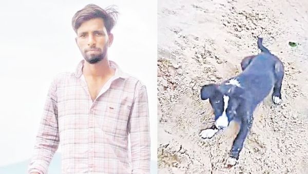 ప్రాణం తీసిన పెంపుడు కుక్క గోరు.. రేబిస్ లక్షణాలు కనిపిస్తే బతకడం కష్టమేనా..!