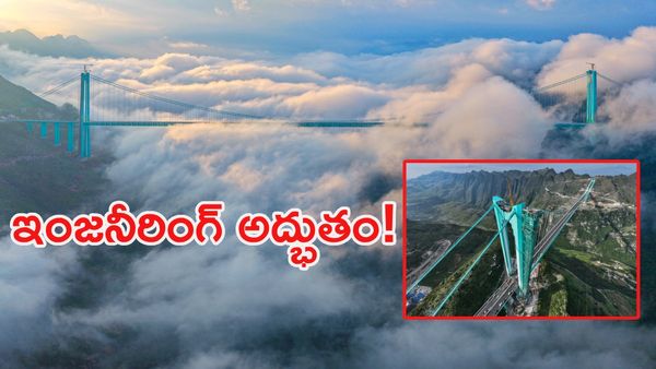 ప్రపంచంలోనే ఎత్తైన వంతెన ప్రారంభం: 2 గంటల ప్రయాణం కేవలం 5 నిమిషాల్లోనే!