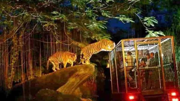 హైదరాబాదీలకు గుడ్ న్యూస్.. 'నైట్‌ సఫారీ' పార్కు.. 203 ఎకరాల్లో..