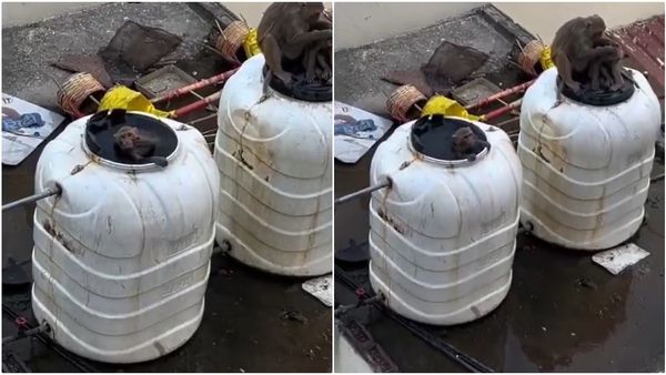 రైల్వే స్టేషన్ వాటర్ ట్యాంక్ లో కోతుల జలకాలాటలు: తాగితే పోతార్రోయ్