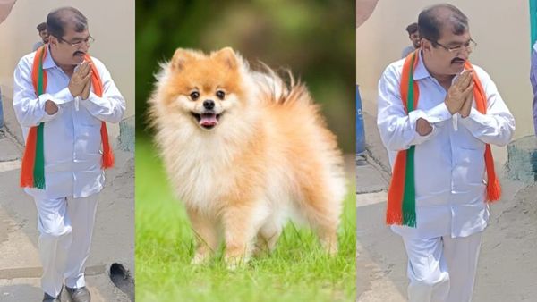 ఆమె గేటు వద్ద ఉండే కుక్కలానే.. ఐపీఎస్‌‌పై బీజేపీ ఎమ్మెల్యే సంచలన వ్యాఖ్యలు !