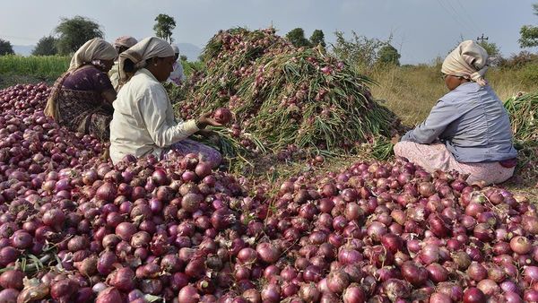 ఉల్లి రైతులకు సీఎం చంద్రబాబు గుడ్ న్యూస్.. రూ.50 వేలు !!