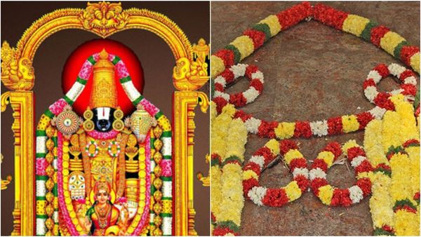 తిరుమల శ్రీవారికి నిత్యాలంకరణలో వినియోగించే పూల మాలల వివరాలు- వాటి విశేషాలు