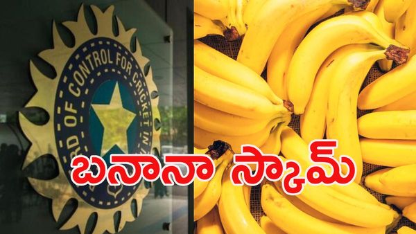 క్రికెట్‌లో 'బనానా స్కామ్': బీసీసీఐకి హైకోర్టు షాక్!