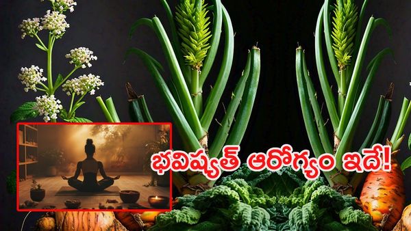 వేదాల జ్ఞానానికి ఏఐ పవర్.. ఇక ఆరోగ్యం మీ అరచేతిలో!