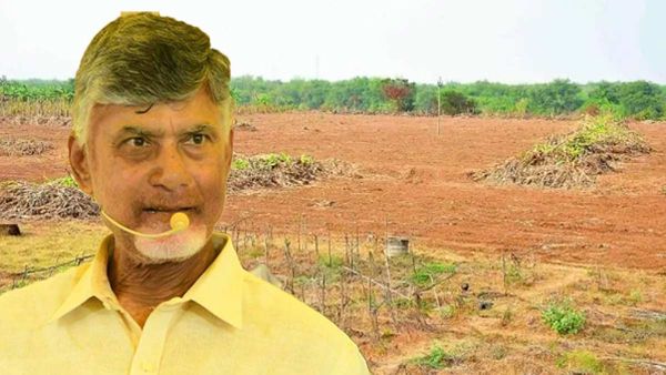 సీఎం చంద్రబాబు సంపద సృష్టికి సాలిడ్ ఎగ్జాంపుల్ ఇదే!