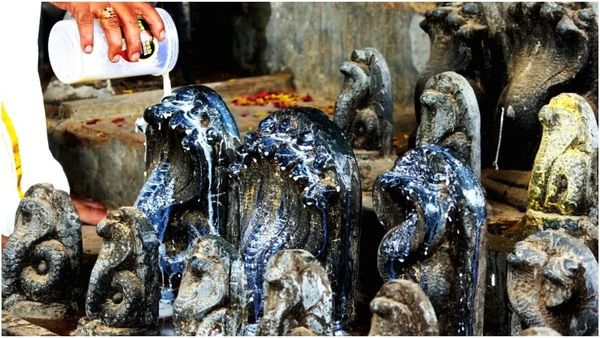  నాగుల చవితి పూజ ముహూర్తం, పుట్ట పూజ ఇలా :సంతాన ప్రాప్తి కోసం..!!