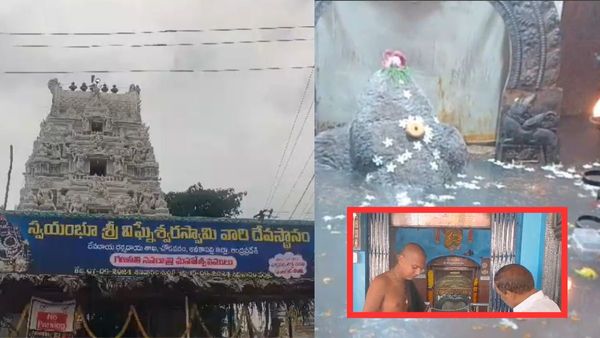 ఏపీలో జల గణపతి- కిరీటం మాత్రమే చూడగలం