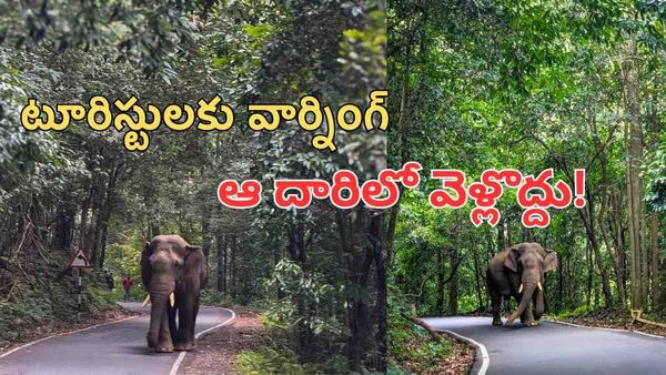 వైరల్ వీడియో: ఆ దారిలో 