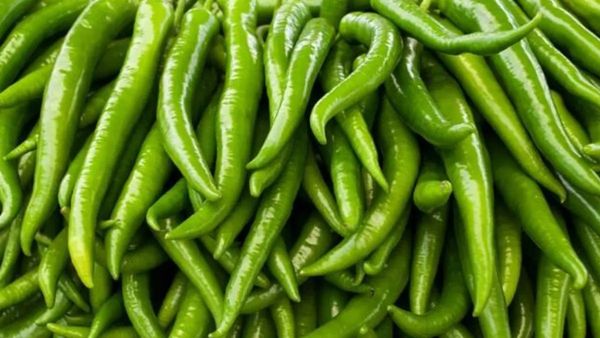 Green chillies: ప్రతీరోజూ పచ్చి మిరపకాయలు తింటే ఏమవుతుంది?