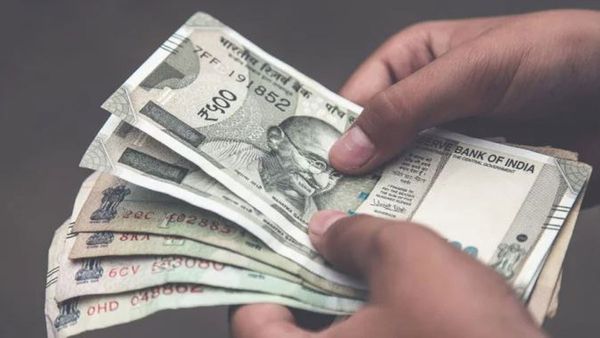 40వేలు పెట్టుబడితో ఆరునెలల్లో 6లక్షలు.. లాభాల పంట పండించండి!