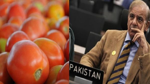 పాకిస్తాన్‌లో చిచ్చు పెట్టిన టమాటో