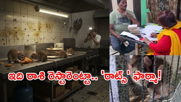 ఎలుకలు.. కాదు కాదు పెట్స్: ఇదేందయ్యా ఇది!