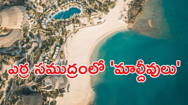'విజన్ 2030'తో గేమ్ ఛేంజ్!: సముద్రంలో ట్రిలియన్ డాలర్లు!