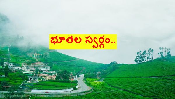 హైదరాబాద్ నుంచి ఊటీ టూర్.. తక్కువ ధరకే.. పూర్తి వివరాలు ఇవే..