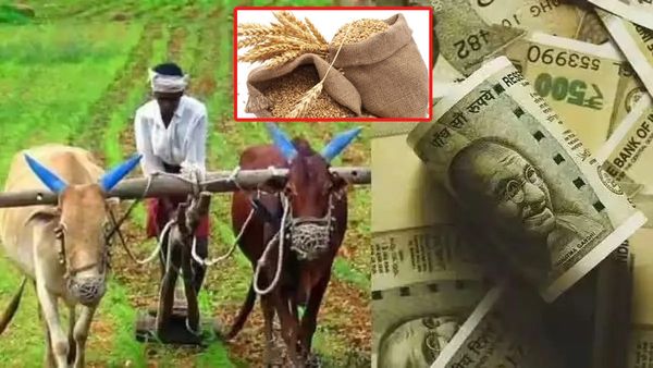 పండగ వేళ.. రైతులకు బంపర్ ఆఫర్!