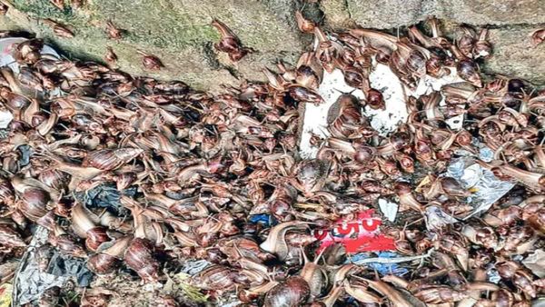 హైదరాబాద్ కు ముంచుకొస్తున్న కొత్త ఉపద్రవం!