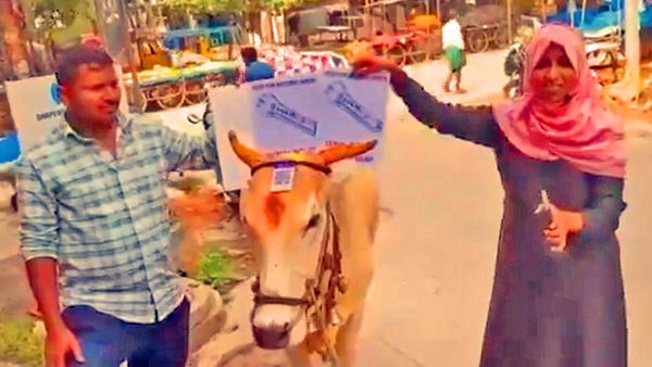 గంగిరెద్దుతో ప్రచారం.. జూబ్లీ హిల్స్ ఉపఎన్నికలో ఇదే ఇంట్రెస్టింగ్!